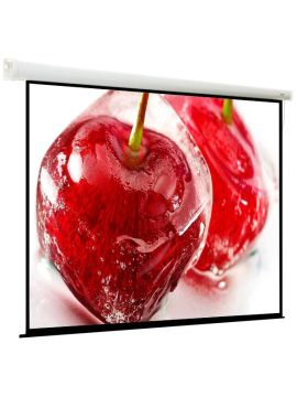 Экран Viewscreen Breston (4:3) 244*183 (236*175) MW EBR-4305