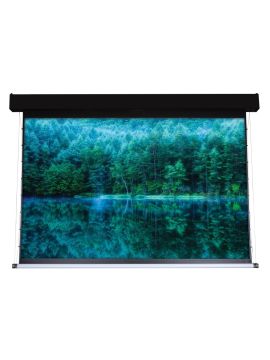 Экран Viewscreen Antis Pro ANP-4306