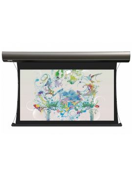 Экран Lumien Cinema Tensioned Control 211x374 см (раб.область 198х352 см) (159