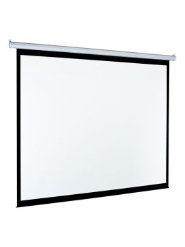 Экран Classic Solution Classic Lyra (4:3) 308x300 (E 300x220/3 MW-M8/W ED)