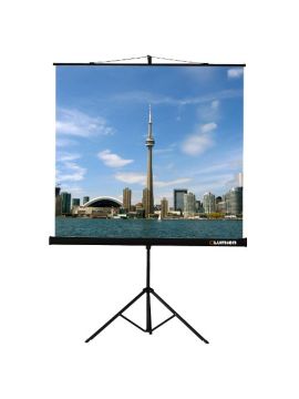 Экран Lumien Eco View (1:1) 160x160 см Matte White LEV-100105