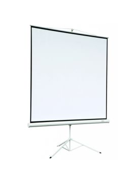 Экран Digis DSKD-4304 (Kontur-D, формат 4:3, 120