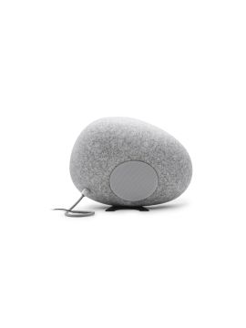 Ландшафтный громкоговоритель DSPPA DSP-670