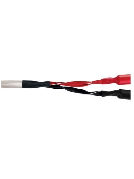 Акустический кабель Wire World Luna 8 Speaker Cable 3.0m Pair (BAN-BAN) (LUS3.0MB-8)