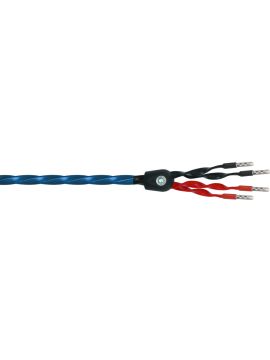 Акустический кабель Wire World Oasis 8 Biwire Speaker Cable 2.5m Pair (BAN-BAN) (OAB2.5MB-8)
