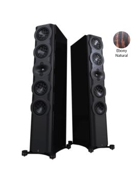 Напольная акустика Perlisten Audio S7t Ebony Natural