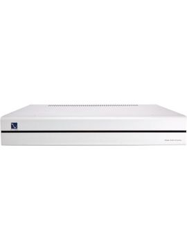 Усилитель мощности PS Audio Stellar Amplifier S300 Silver