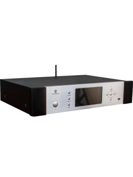 Сетевой аудио проигрыватель Tone Winner TY-i30