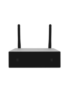 Сетевой плеер DSPPA DW-0250