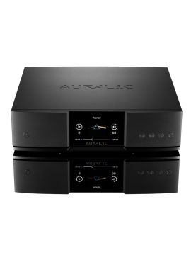 Сетевой транспорт AURALiC ARIES G2.2 (4TB SSD)